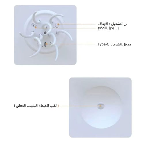 أضاءة قنديل البحر