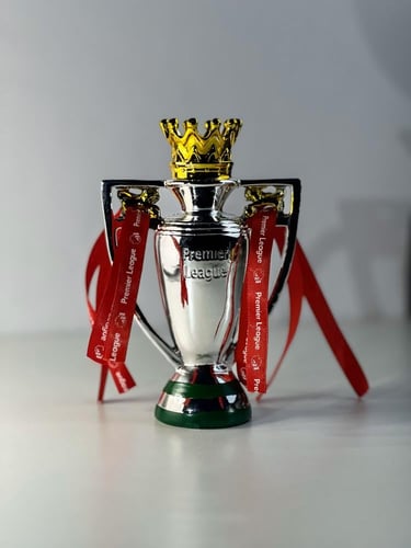 كاس دوري بريميرليج
