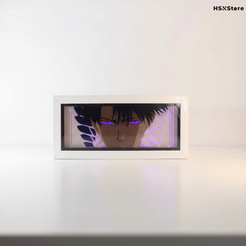 أضاءة ليفاي