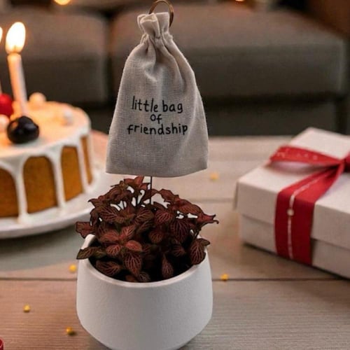 هدية تدوم قيمتها مدى الحياة (السعر النهائي حسب الس...