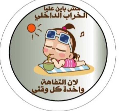 شماسة السيارة (Sunshade)