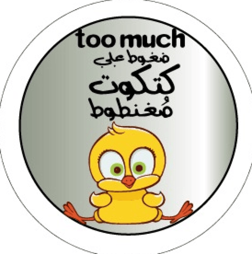 شماسة السيارة (Sunshade)