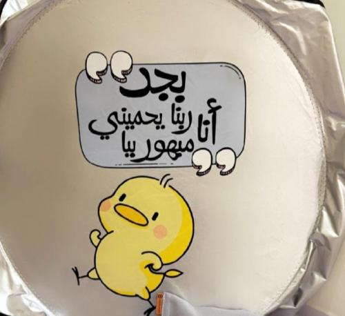 شماسة السيارة (Sunshade)