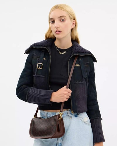 حقيبة وافيرلي من قماش سيجنيتشر ماركة كوتش