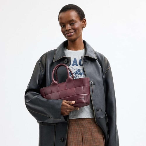 حقيبة يد ألتر إيـغو - ماركة كوتش