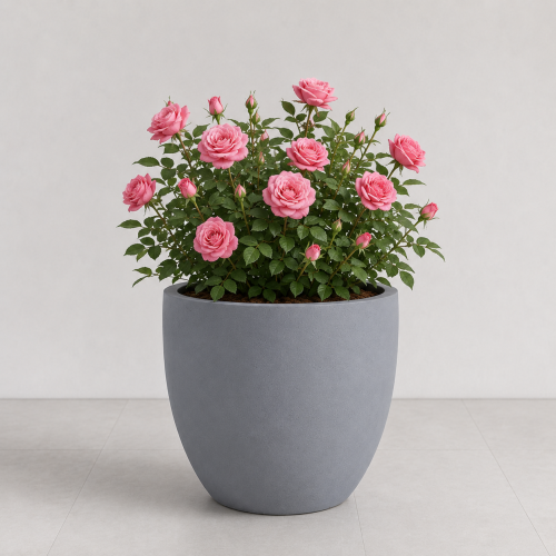 Parking, planting basin - fiberglass length 48 cm and width 50 cm