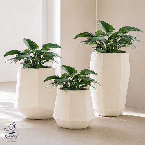 3D planting trays set, fiberglass for agriculture - white color