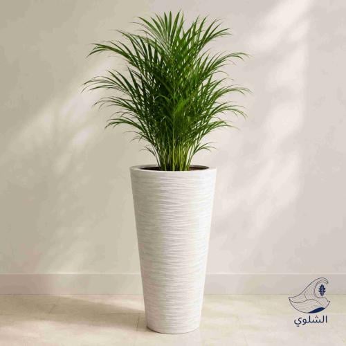 Parking, planting basin - fiberglass length 48 cm...