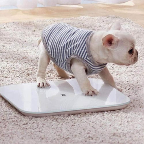 ميزان شاومي mi smart scale 2 الذكي - أبيض