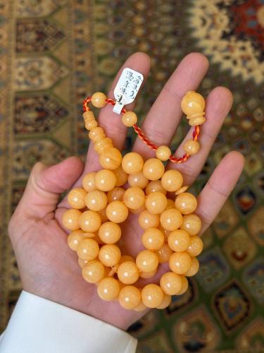 مسباح فاتوران جديد عقود مشمشي 20213