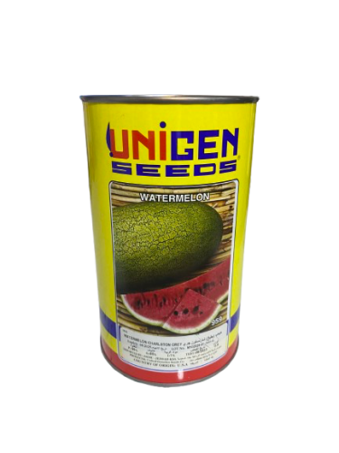بذور بطيخ (حبحب)
