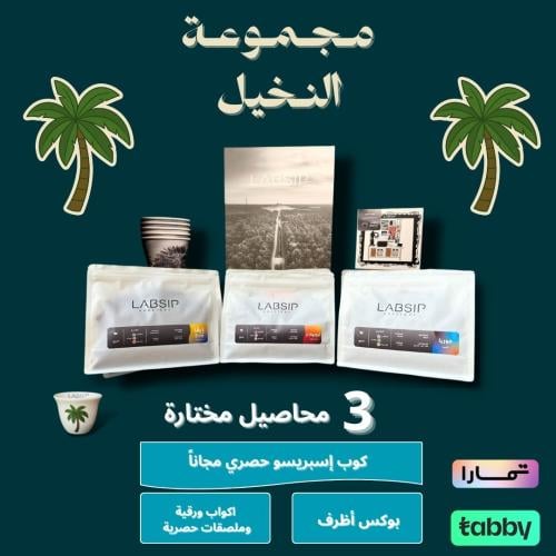 مجموعة النخيل