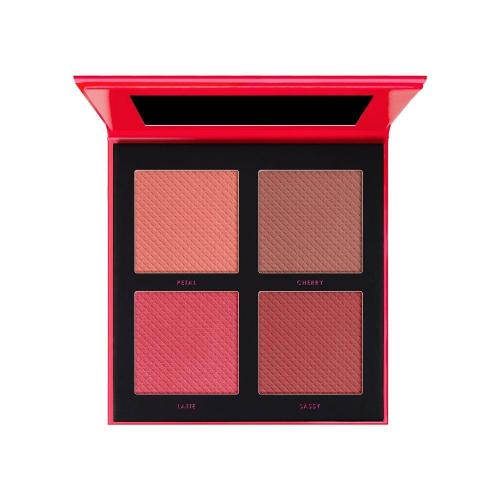 تشيك تو تشيك بلاشر باليت DGB004