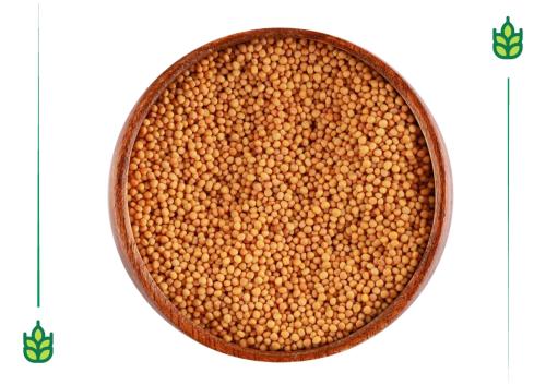 Yellow mustard