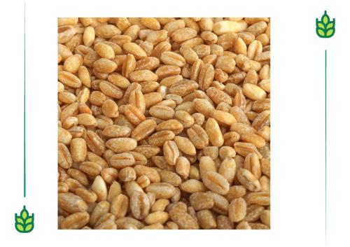 Omani wheat flour - 1 kilogram
