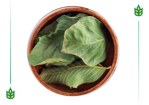 Guava leaf - 50 grams