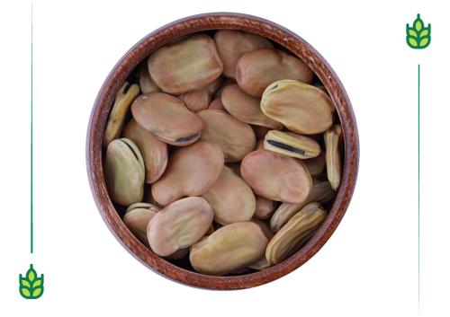 Large whole fava beans - 250 grams
