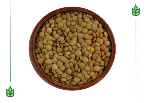 Green lentils - 250 grams