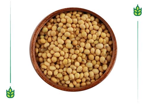 Soybeans - 250 grams