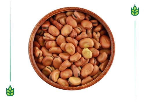 Small whole fava beans - 250 grams