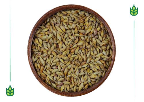 Barley - 250 grams