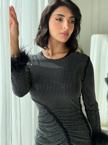فستان أسود بترتر ولمسة ريش أنيقة على الأكمام