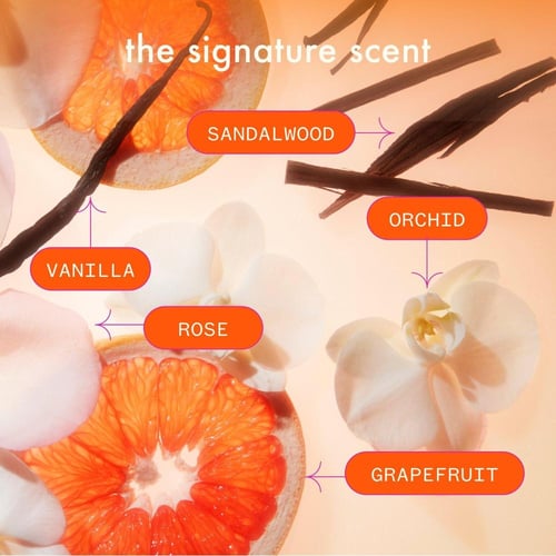 أميكا The Closer​ كريم اصلاح تقصف 50 مل