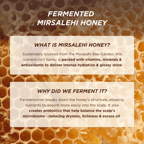 غيسو HONEY GLOSS CERAMIDE THERAPY بلسم 220 مل