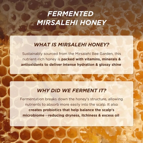 غيسو HONEY GLOSS CERAMIDE THERAPY شامبو 250 مل