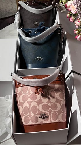 حقيبة كوتش ميني ديمبسي بوكت ماستر قماش فوري