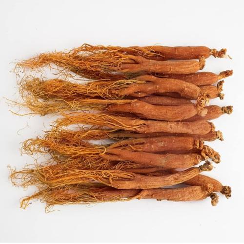 جنسنج صيني احمر 25 جرام