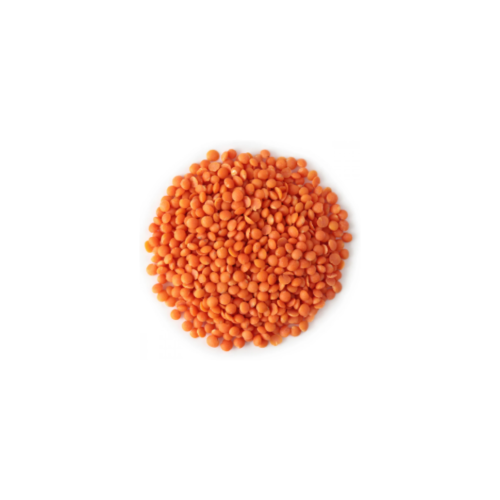 عدس احمر 1 كيلو