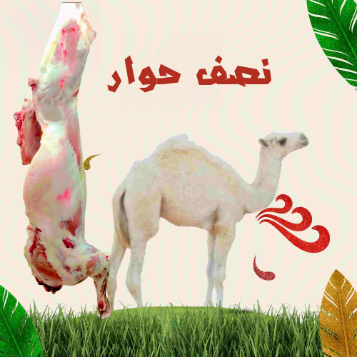 نص حوار ( 40 لـ 45 كيلو ) مفطح