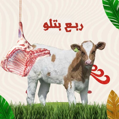 ربع بتلو ( 25 لـ 30 كيلو )