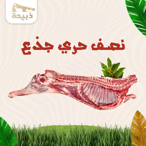 نصف حري جذع ( 10 لـ 11 كيلو )