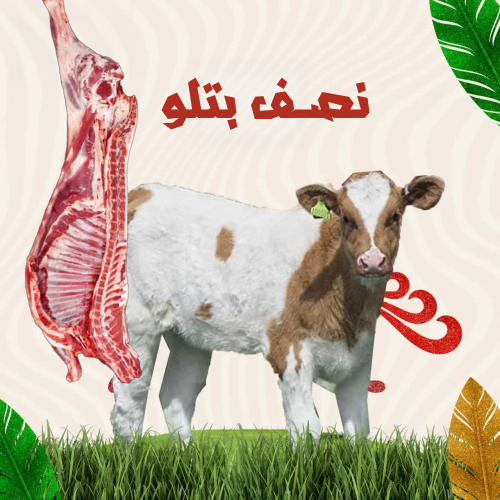 نصف بتلو ( 50 لـ 60 كيلو )