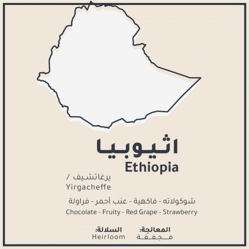 اثيوبيا | يرغاتشيف