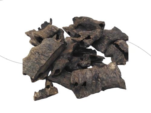 عود كينام (أوقية)