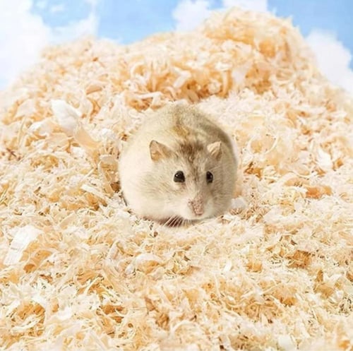 نشارة خشب للقوارض والطيور 1 كيلو