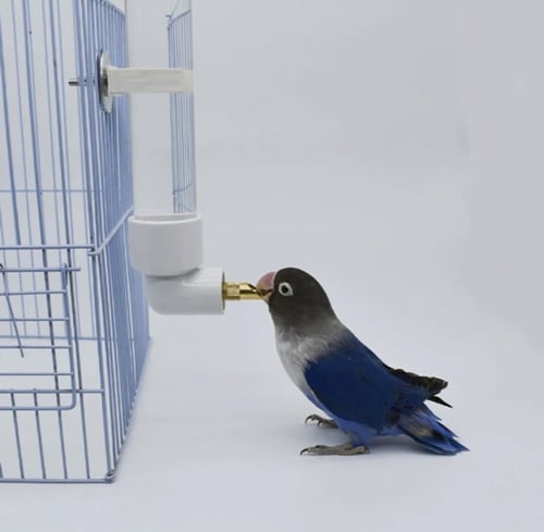 مشربية طيور نقاط 400 ملي