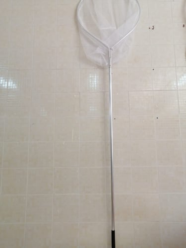 شبكة صيد بعصاء طويل