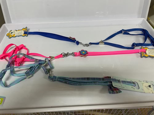 طوق قطط للتنقل