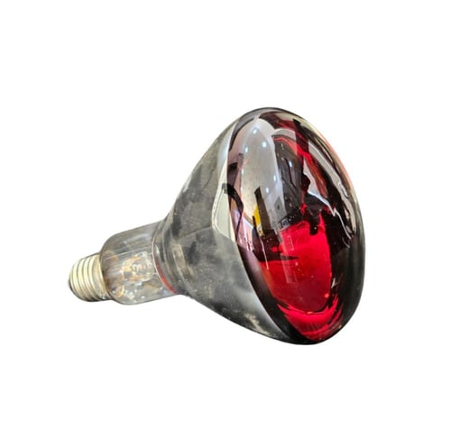 مصباح حراري 250 وات