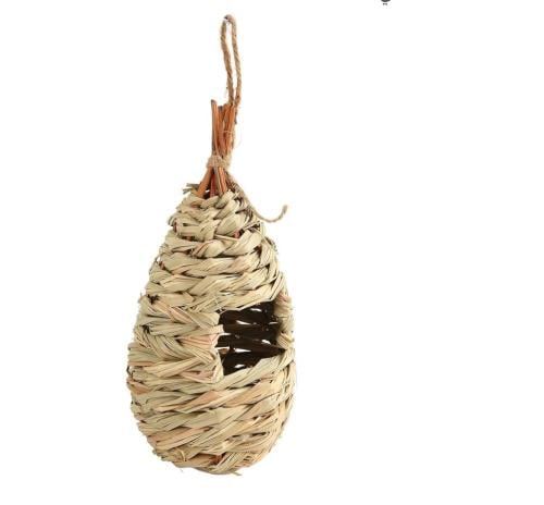 عش زيبراء خوص 2