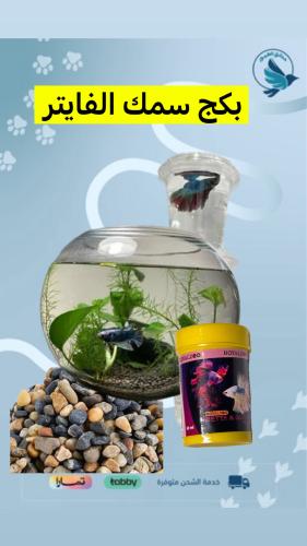 سمكة فايتر مع جميع الملحقات