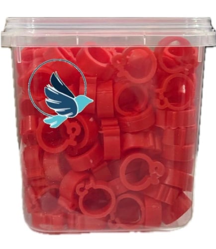 حلقات قدم للطيور عدد 200 بدون رقم