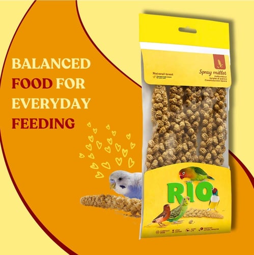 عناقيد نبات الدخن مكافأة للطيور 100g