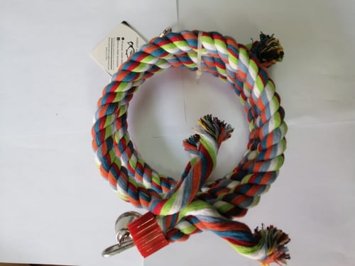 العاب ببغاوات 0053