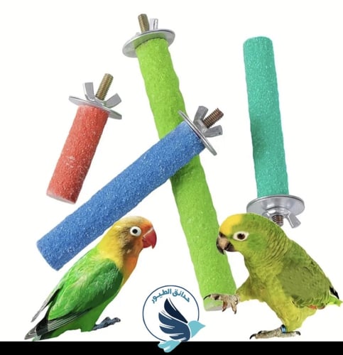 مجثم ومبرد للطيور