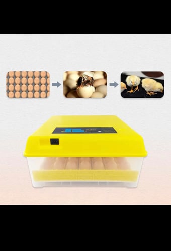 فقاسة / حاضنة البيض الرقمية الأتوماتيكية سعة 48 بي...